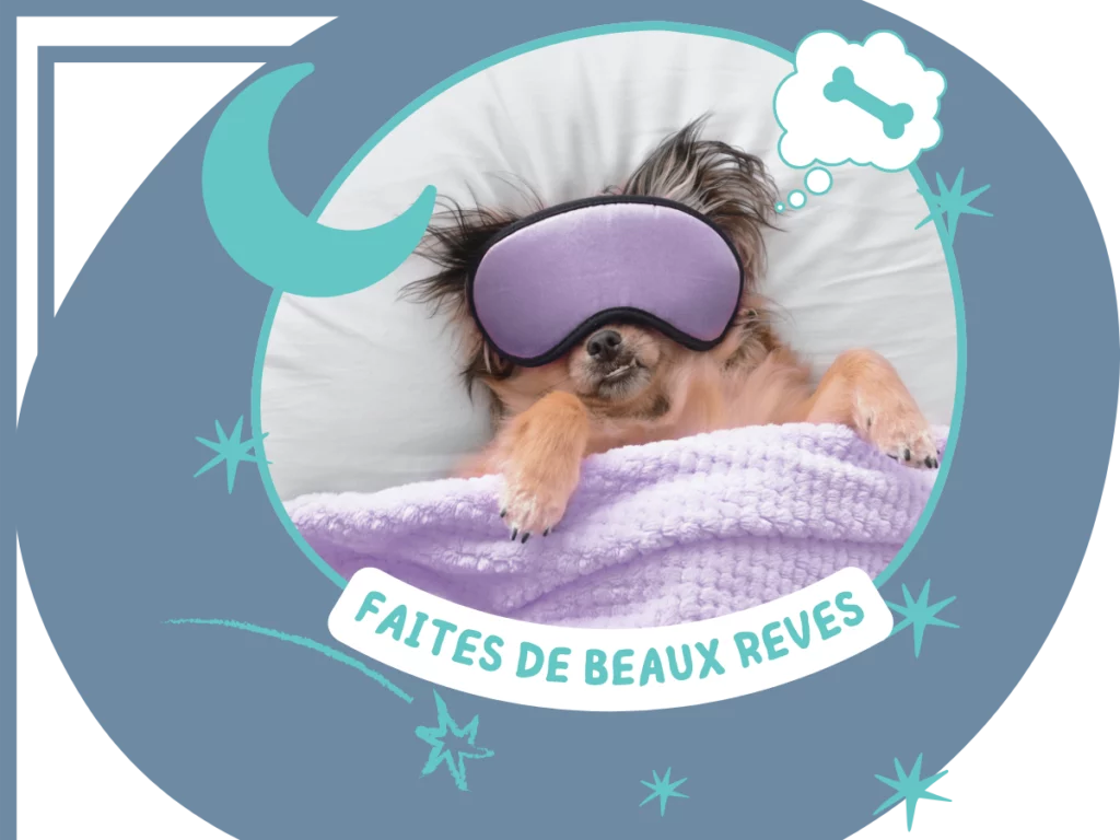 Sommeil Bourgoin jallieu